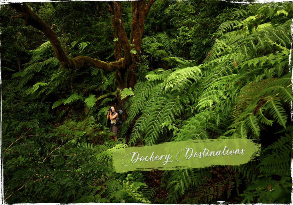 Luxury Travel Dockery Destination